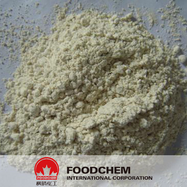 Horseradish Powder suppliers